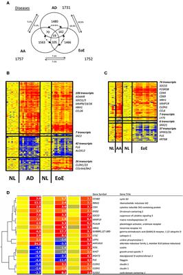 Transcriptomic Analysis Links Eosinophilic Esophagitis and Atopic Dermatitis